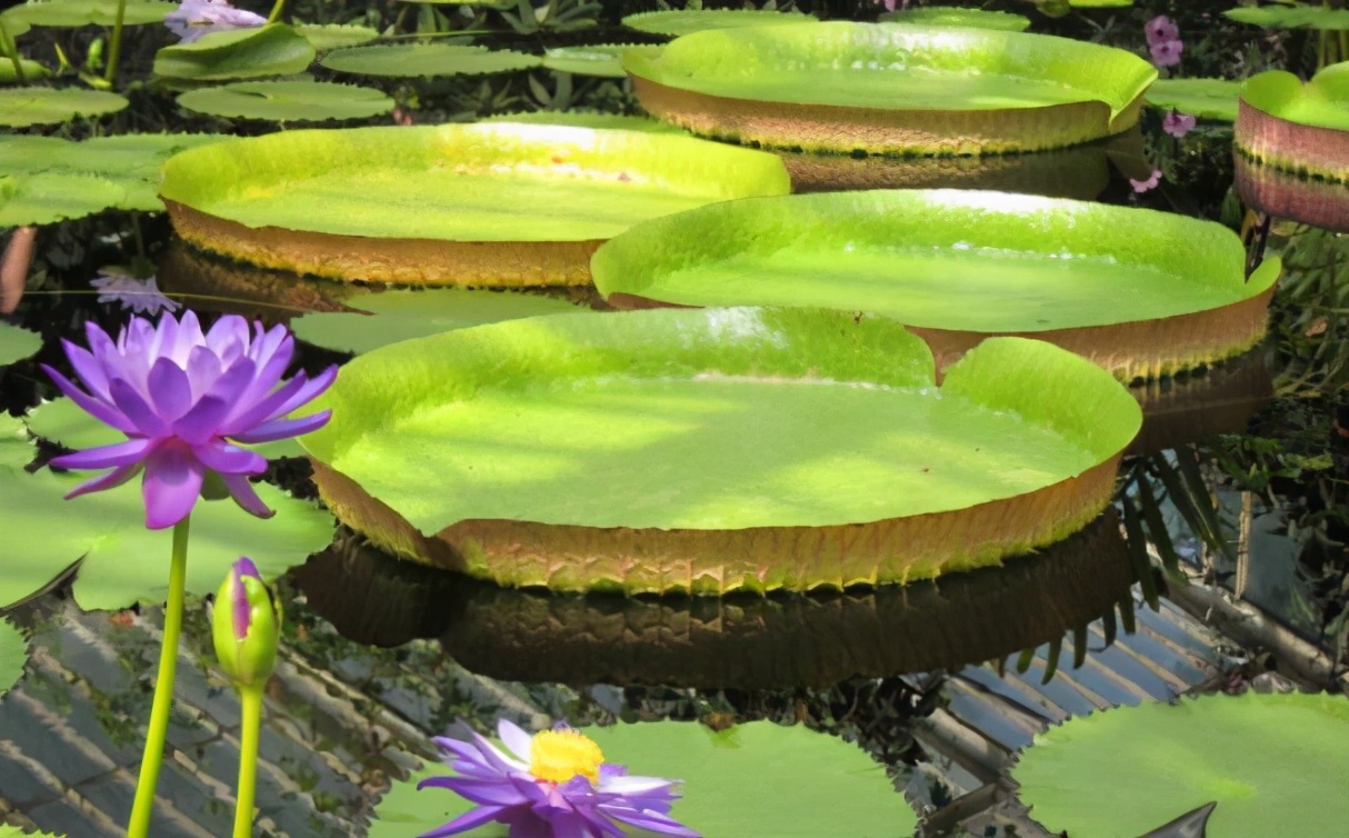 人过五十要学会做什么,活得明白的人的思维方式