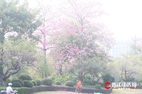 入选交通部“最具人气的路”提名！一起为晋江世纪大道和东石园东路助力