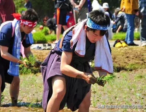 中国和日本农业到底有什么样的差距，不得不承认！