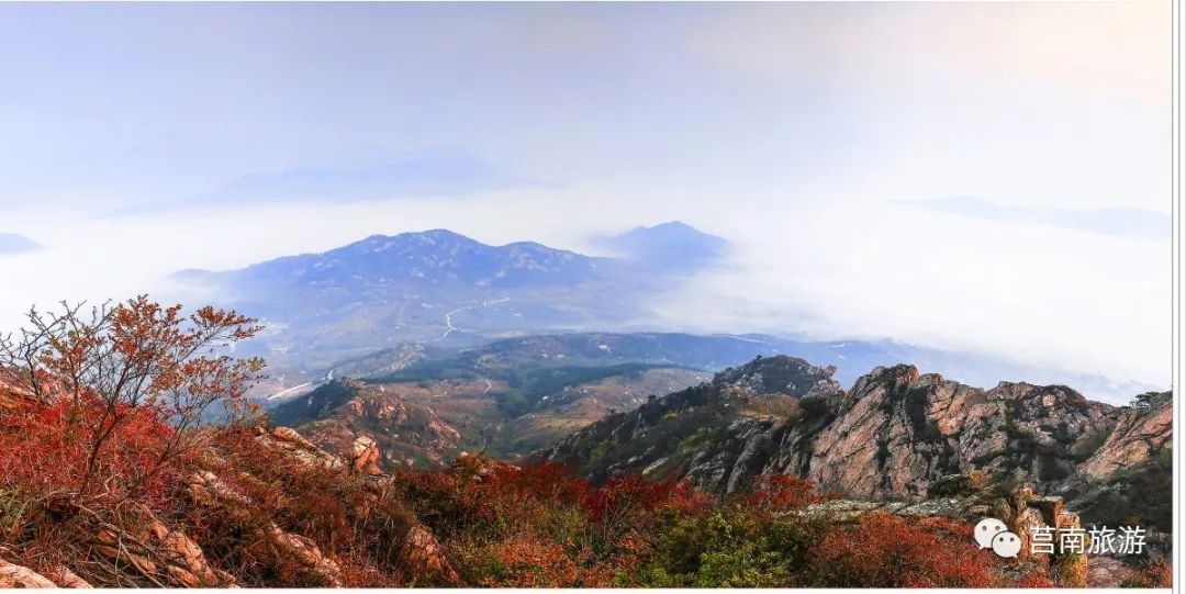 悦享莒南|惊艳了莒南蓝，温暖了遇见