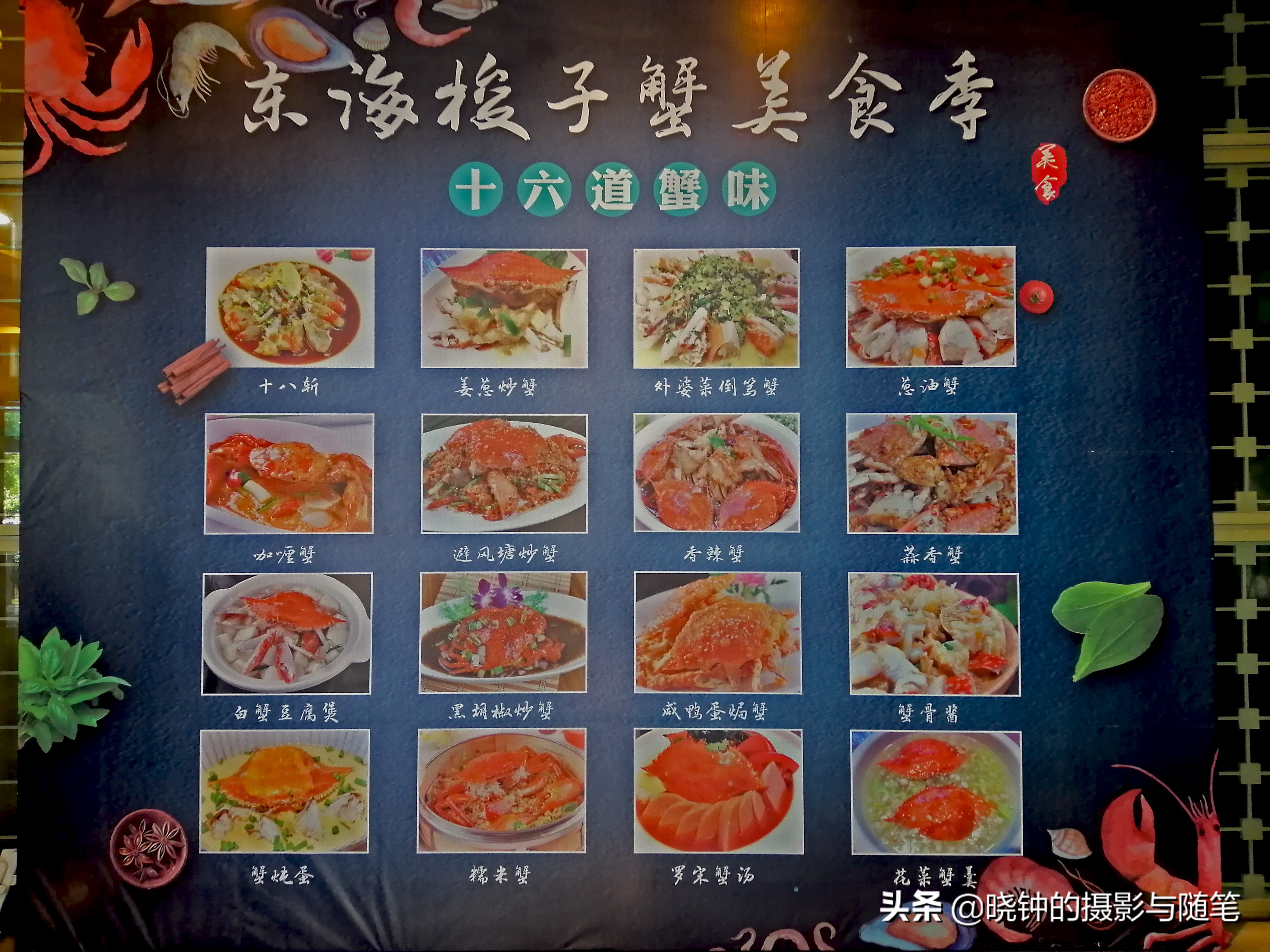 浙江舟山人的幸福生活：住景区、吃海鲜、忙锻炼、慢节奏