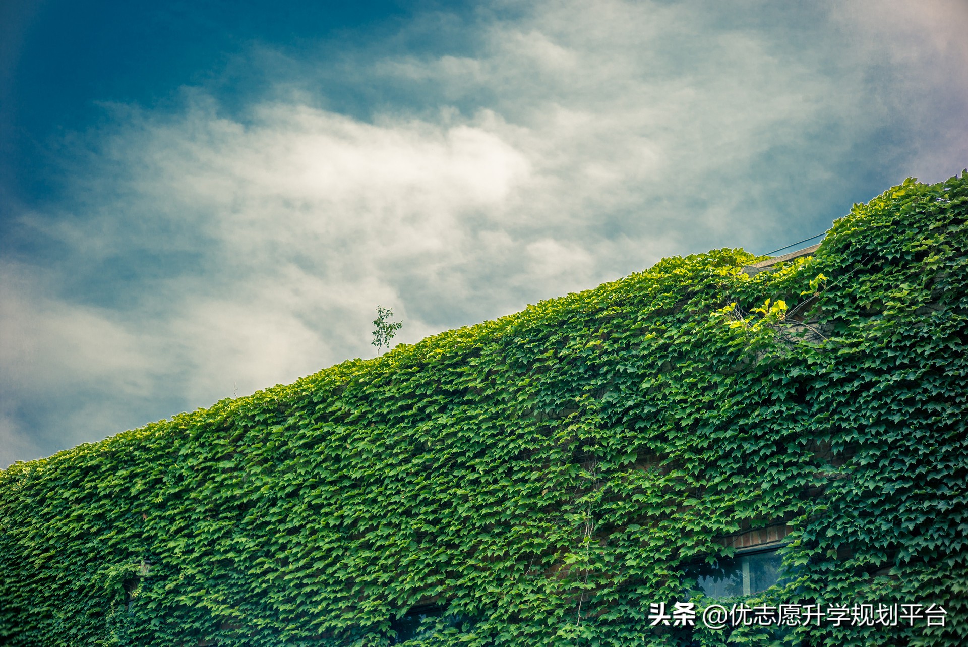 占地面积医院排名,占地面积最大医院