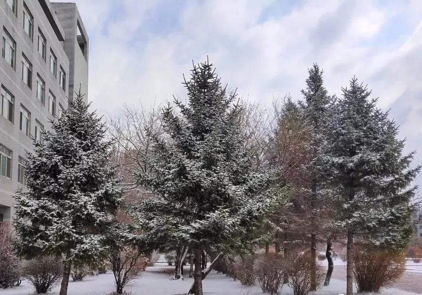 沈阳医学院在辽宁排名,沈阳医学院全面介绍