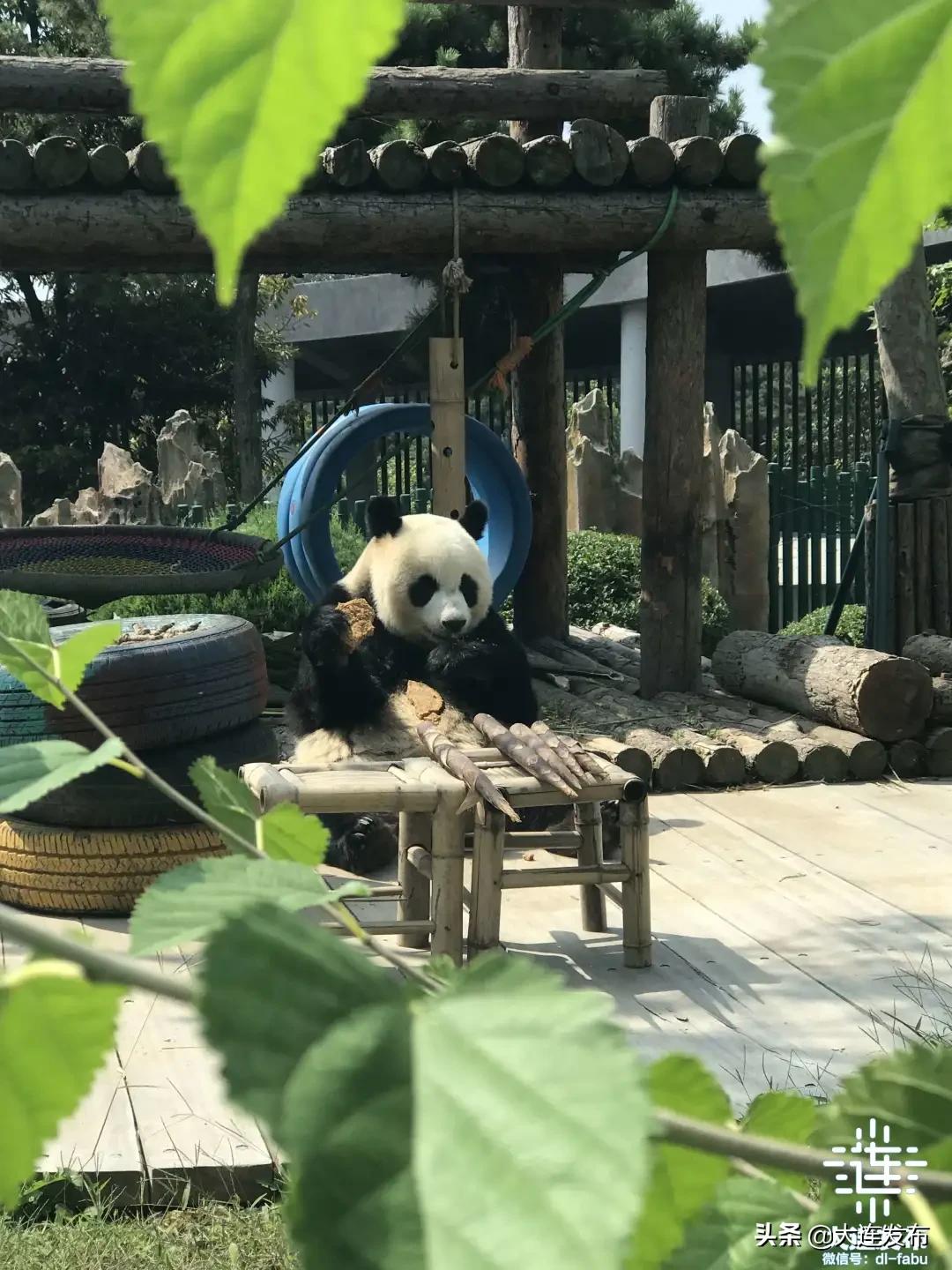 大连地区中秋出游攻略,大连中秋节旅行攻略