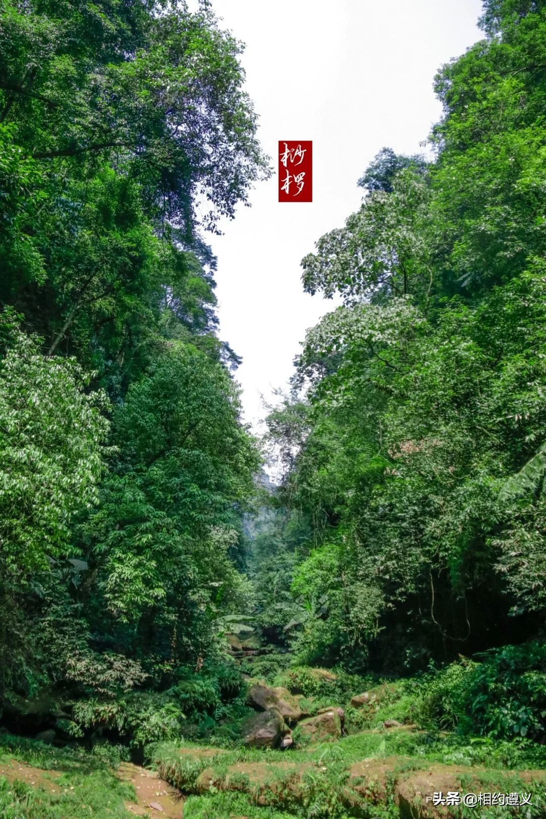 赤水大瀑布 侏罗纪公园 (贵州赤水侏罗纪公园攻略)