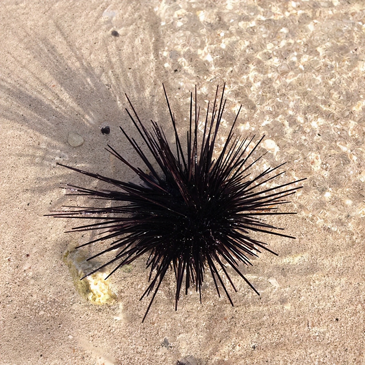 人山人海的元宵节灯会,元宵节漂亮的灯会