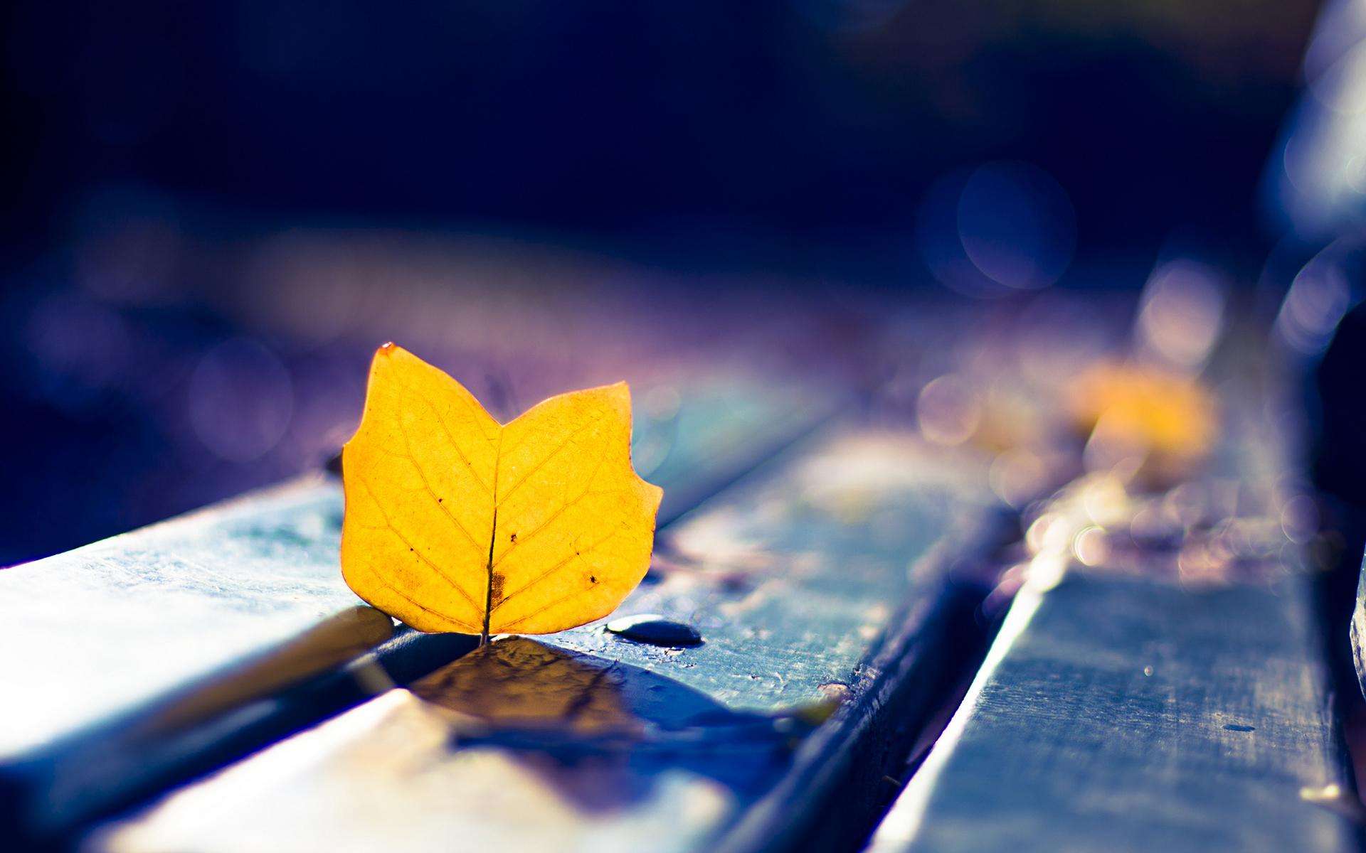 最艰难的时候熬过去就好,最艰难的时刻坚持