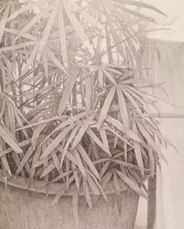 全国素描比赛第一名,九大美院素描欣赏