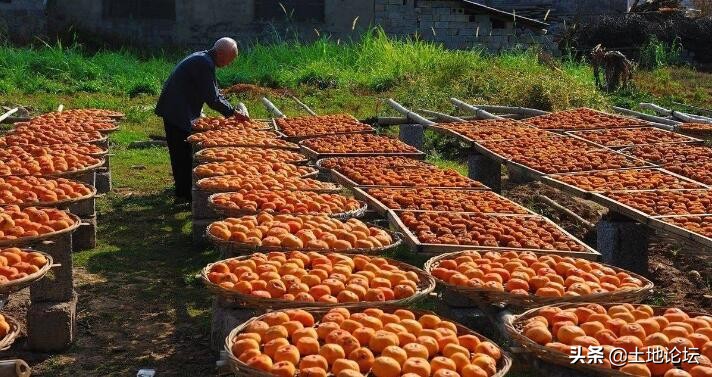 国家给创业扶持的新政策,国家最新创业政策和动向