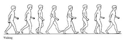 腿筋拉伤是不是腘绳肌拉伤,大腿内侧筋拉伤怎么处理