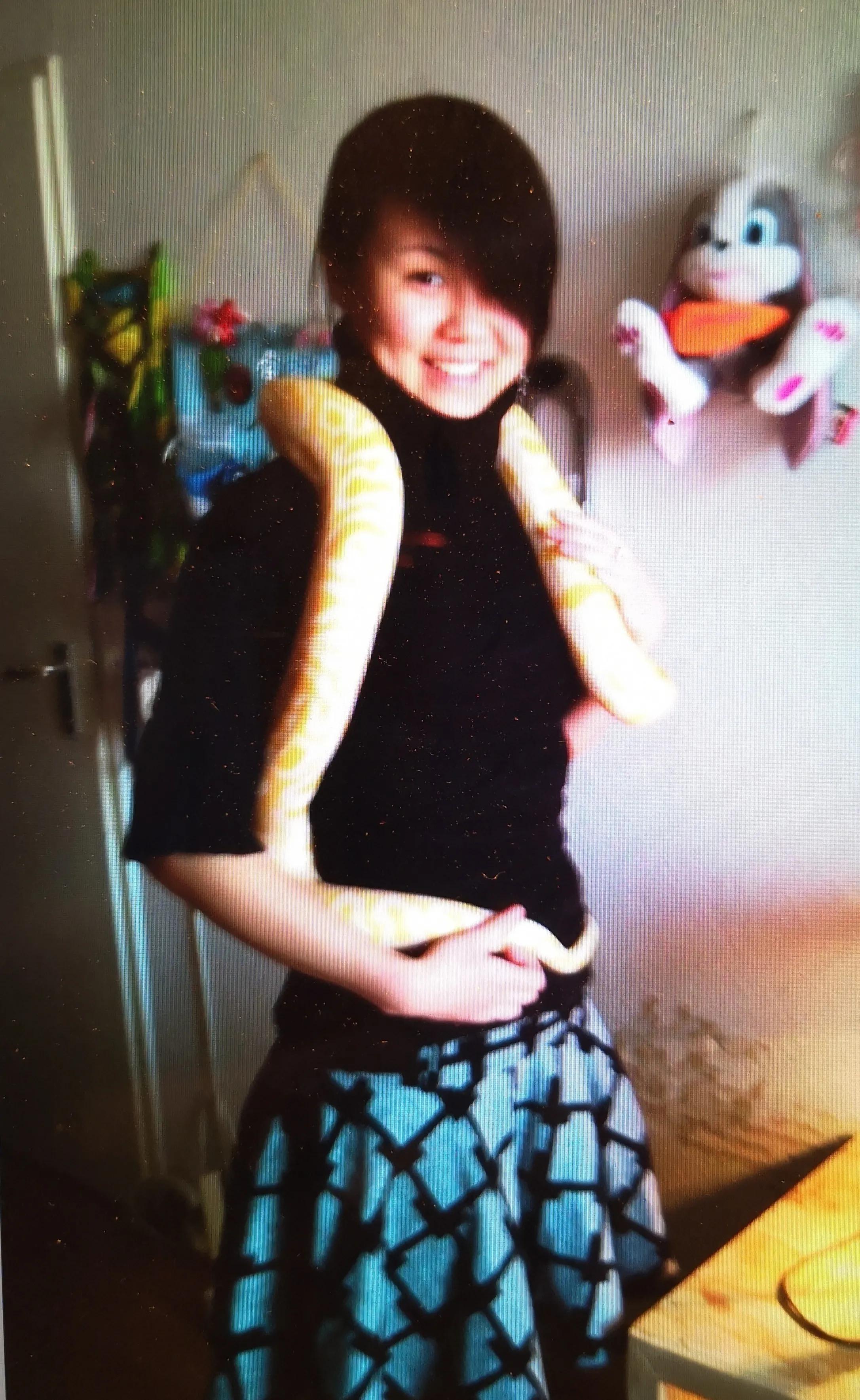 收容所动物安乐死,动物安乐死啥原理