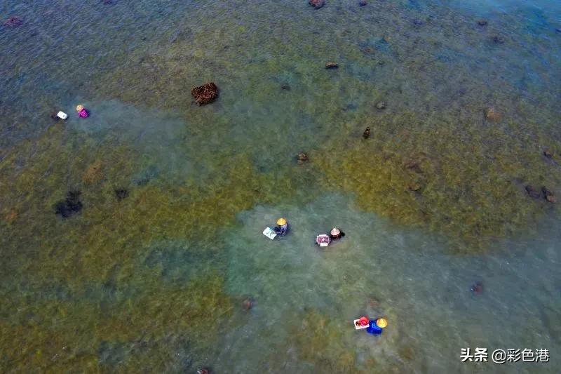 晚报记者去年拍了哪些好照片？今天晒最后一批金奖