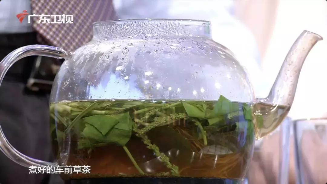 婴儿湿疹？湿热体质？薏米水不能多喝？|健康问答