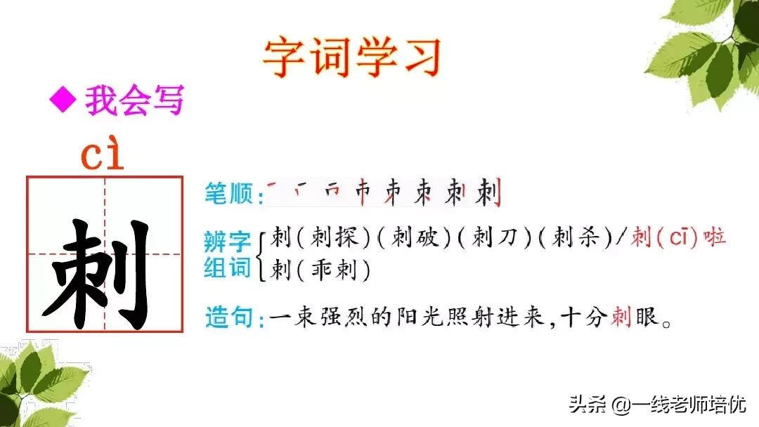 带刺的朋友三年级上册,三年级语文带刺的朋友课文知识点