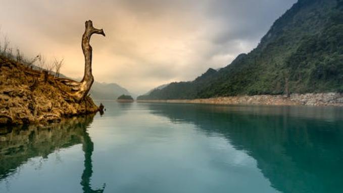 职场上其他领导让你做事情怎么办,职场领导不理你怎么办