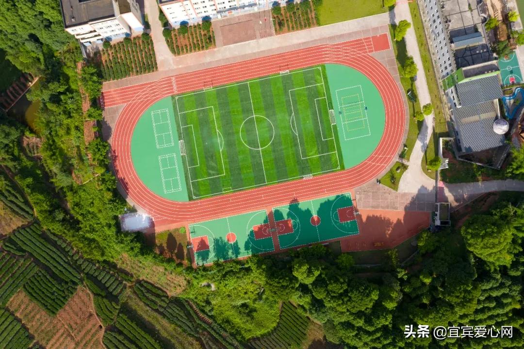 航拍青山绿水震撼风景竖屏视频,震撼校园秋景航拍