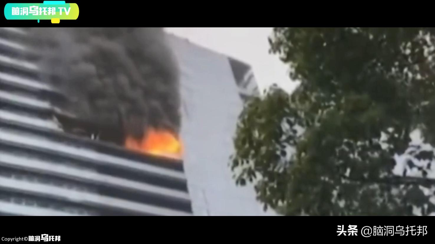 网红林生斌的视频,网红林生斌