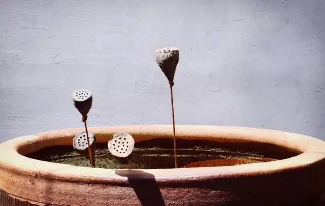 梦想改造家小户型,农村庭院改造效果图大全