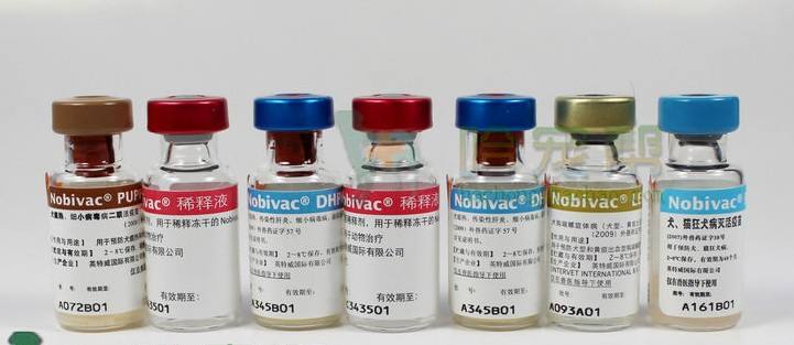 3岁女童注射狂犬疫苗后发热死亡，国内国外宠物疫苗差别有多大？