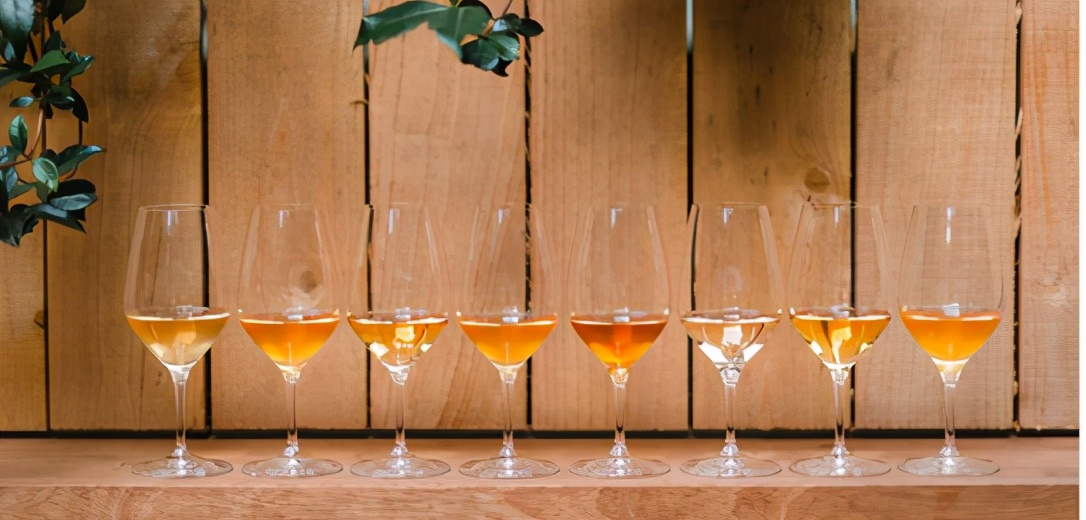 适合新手入门的葡萄酒种类,常见葡萄酒的分类方式有几种品种