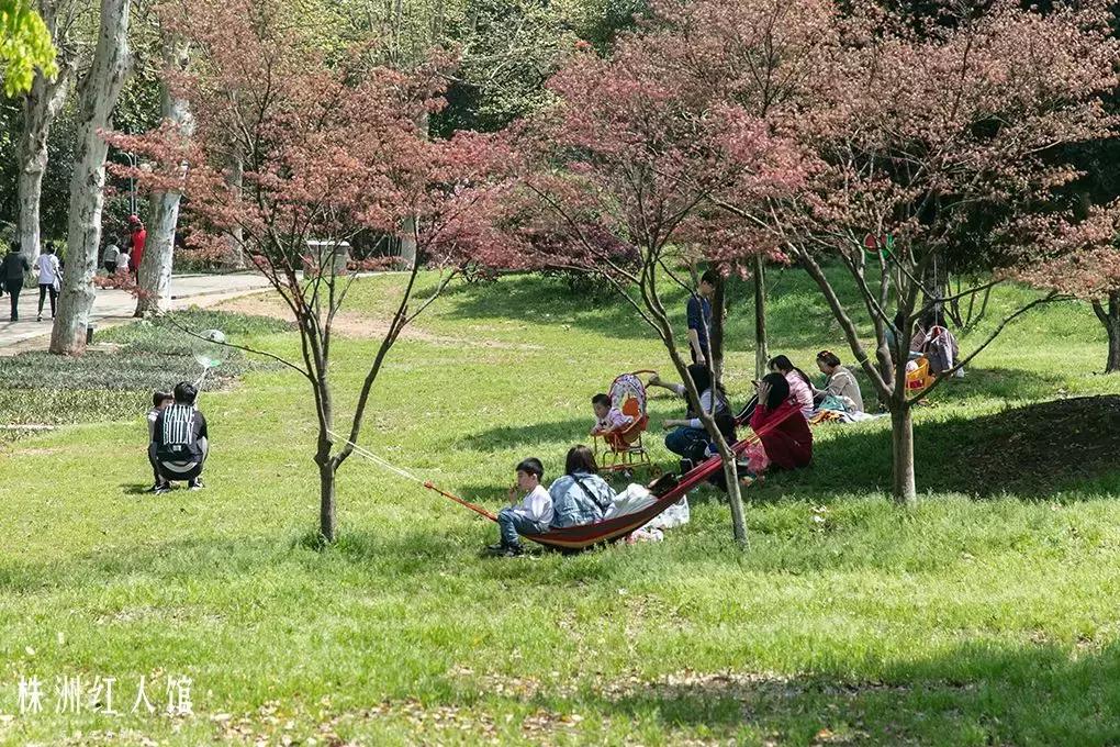 株洲神农公园的传说,株洲神农公园游览图