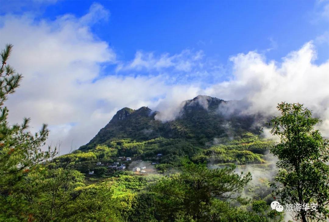 春风十里不如你，我在华安等着您
