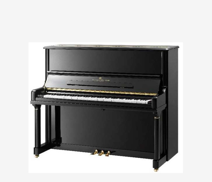 WILH.STEINBERGGrotrian|特价来袭，总有一款适合你