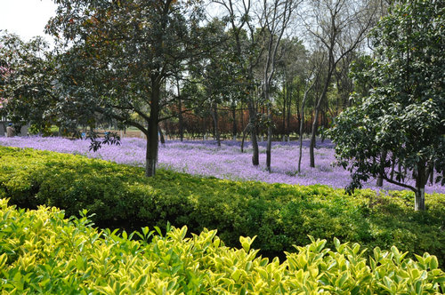 南京科普馆建设,江苏省科技馆有哪些
