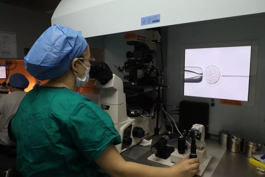 “宝贝,妈妈历经艰辛只为遇见你!”揭秘试管婴儿培育全过程