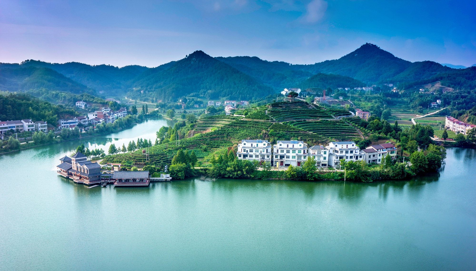 英山最大的茶叶基地,湖北英山县茶叶