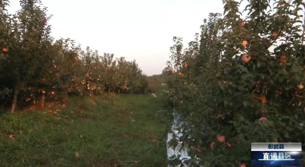 v观阜新,v观阜新新闻