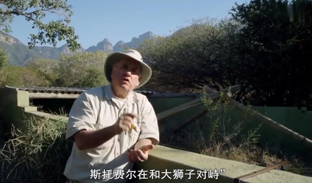 永不服输的蜜獾，曾经有一个保护区饲养了两只，后来怎么样了？