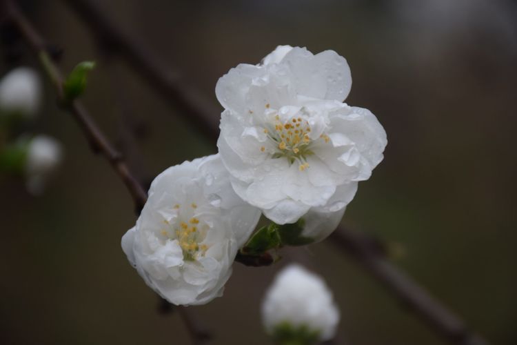 陕西印象装饰有限公司,陕西印象传媒怎么样