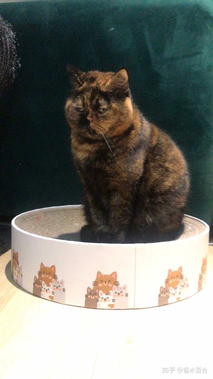 买了高层的人怎么样了,买了顶楼的房子后悔了吗