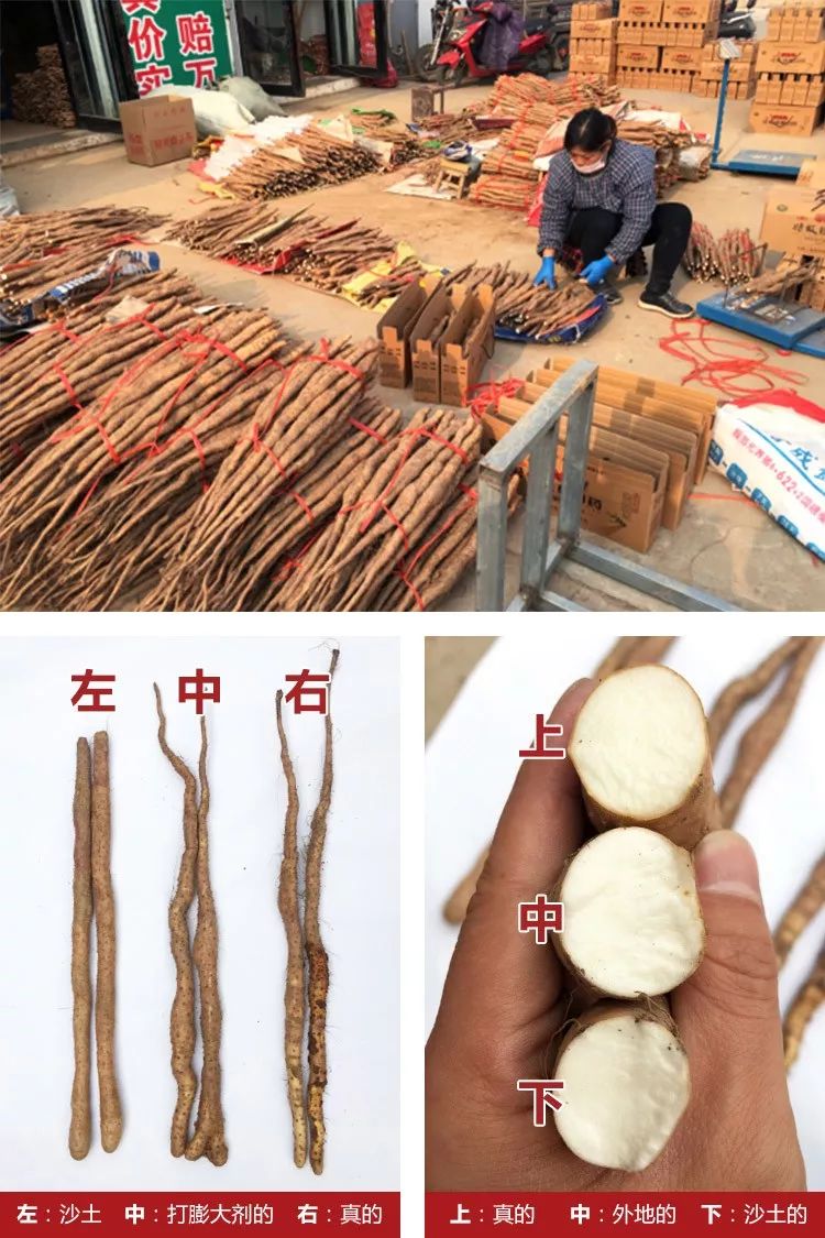 你总胃不舒服？肚子大？这条【养胃秘诀】快跟我试试