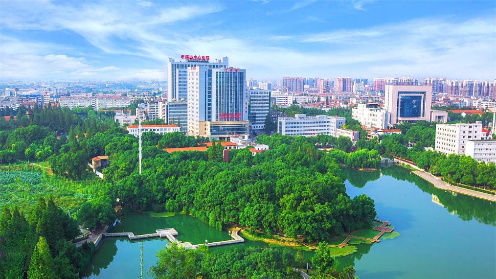 孝感哪些地方很可能划入武汉管辖,孝感代管安陆哪些事项