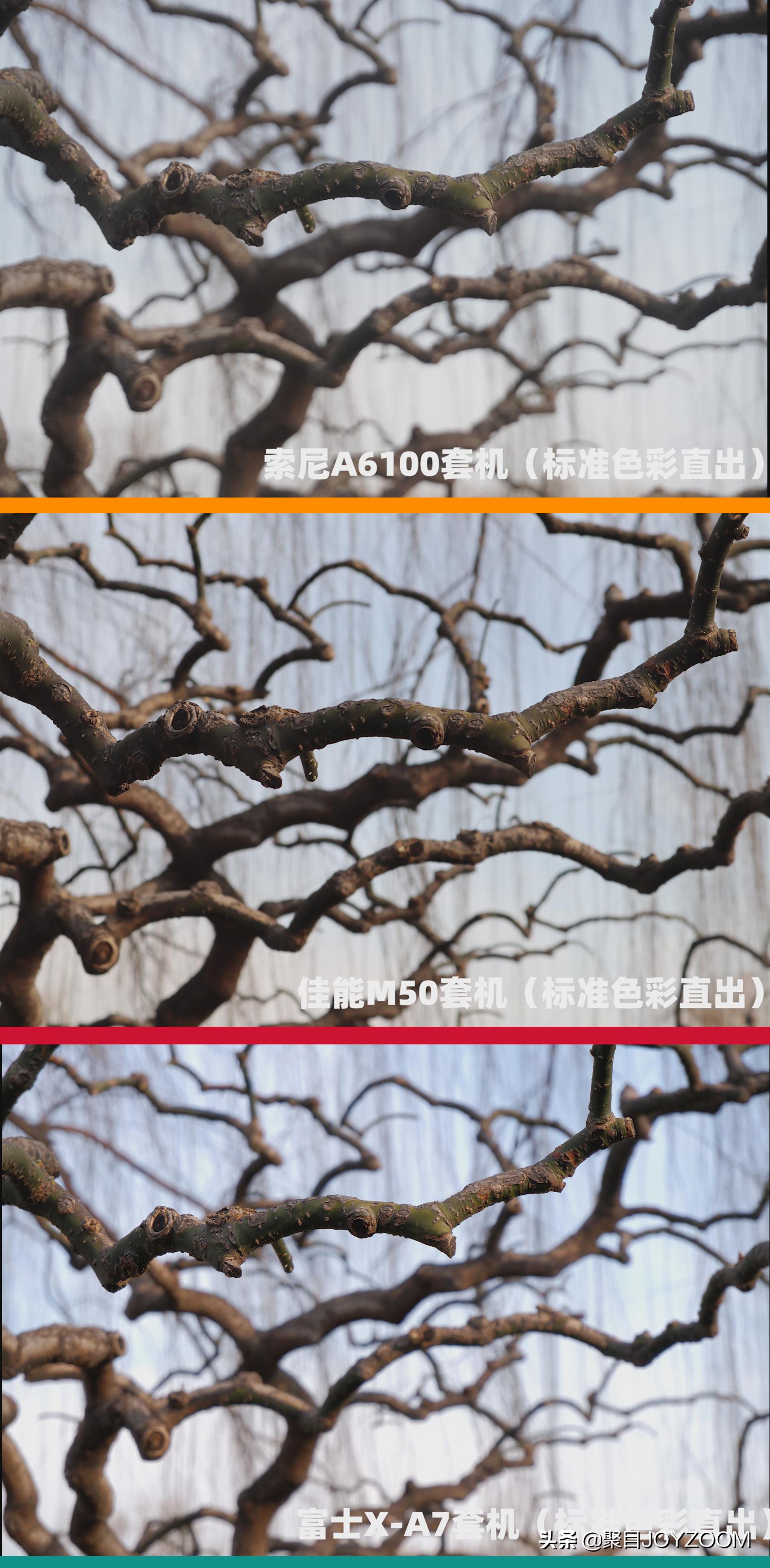 介绍一款aps-c画幅单反相机,新手值得买apsc画幅的相机吗