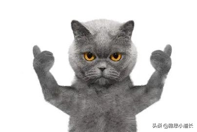 十大高薪英文名排行榜,比较容易拿高薪的英文名