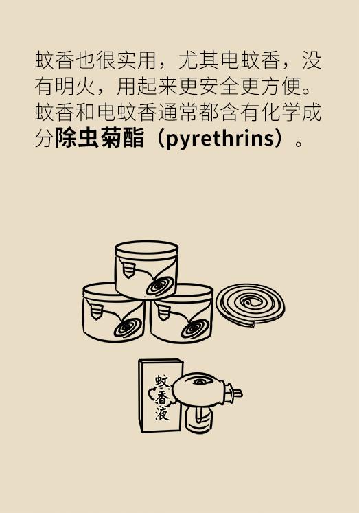 被蚊子吵得睡不着失眠了,被蚊子吵得睡不着