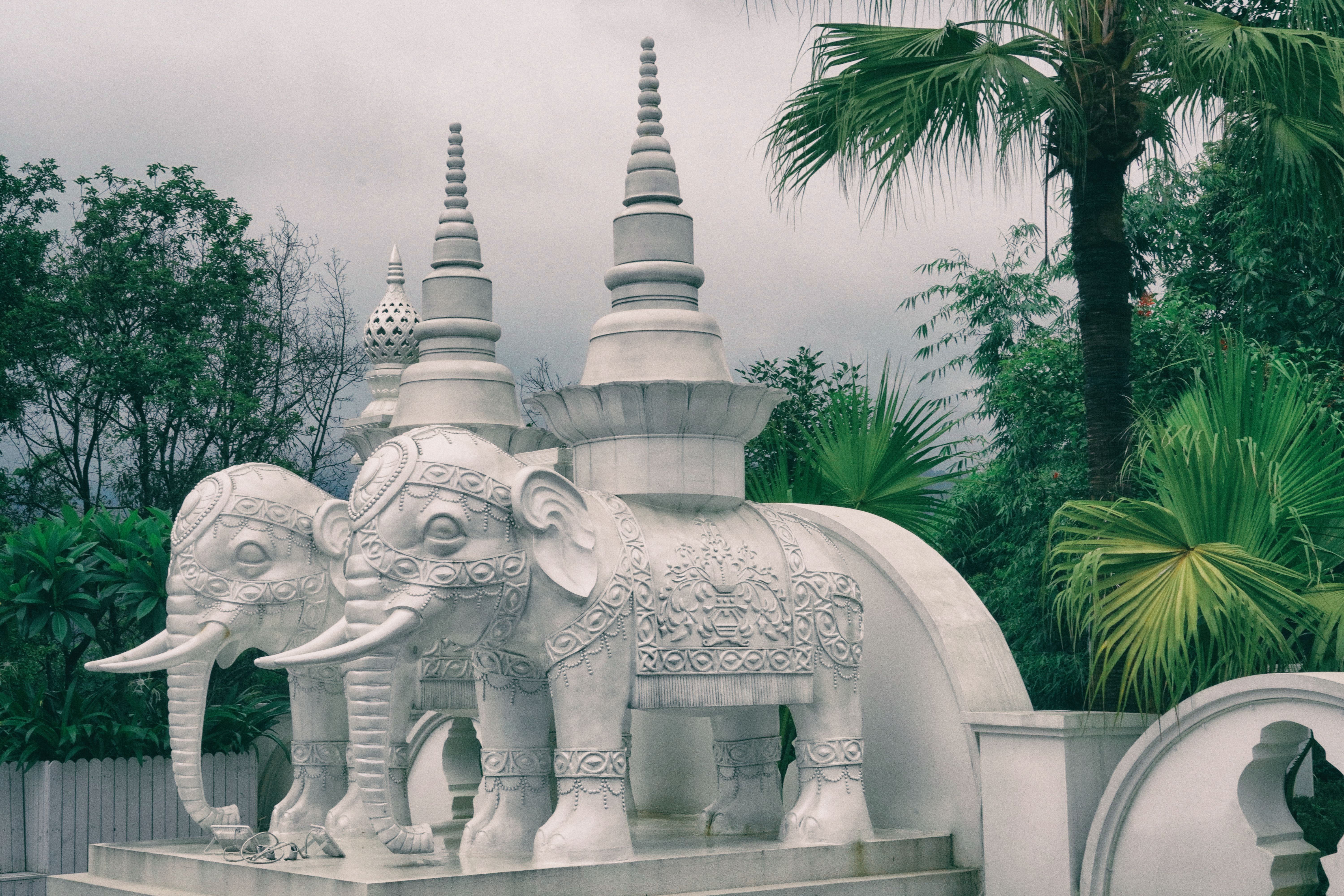 在祖国的边疆,在祖国西南边陲的云南省