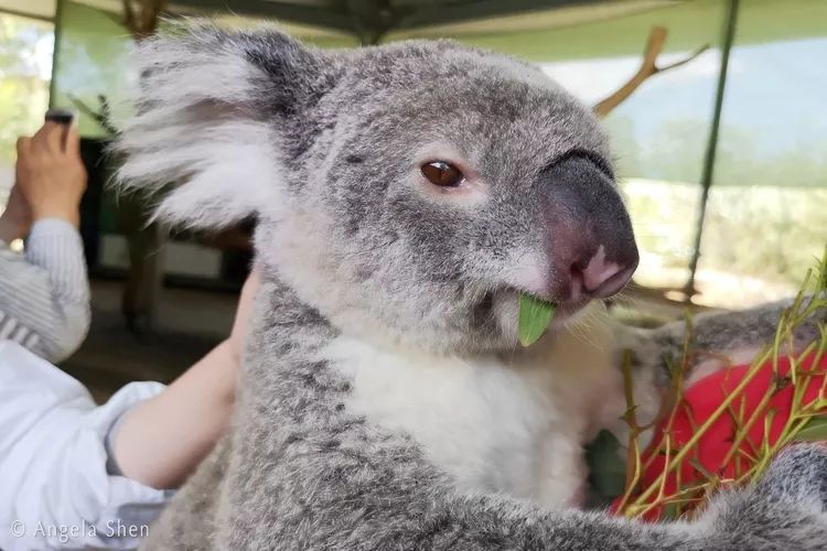 汇率起起伏伏，自然旅行跟着这张表格走，最划算