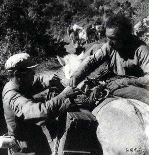 对印反击战,毛主席问张国华:听说那边有蛇?可以学广东人