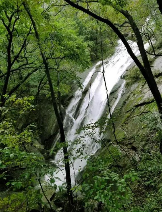 南阳有山有水有景区,南阳市区内有哪些风景旅游区