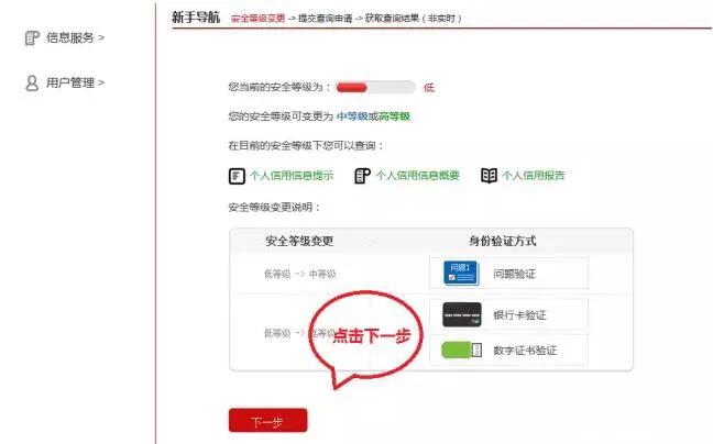 网版征信查询上征信吗,网查征信为什么是简版的