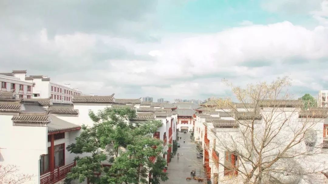 深圳一日游必去的地方免费,深圳周末自驾一日游