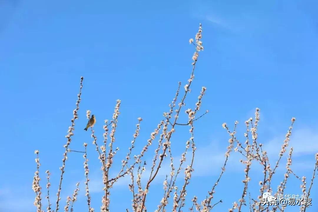 易县好看的视频,易县哪儿的好看