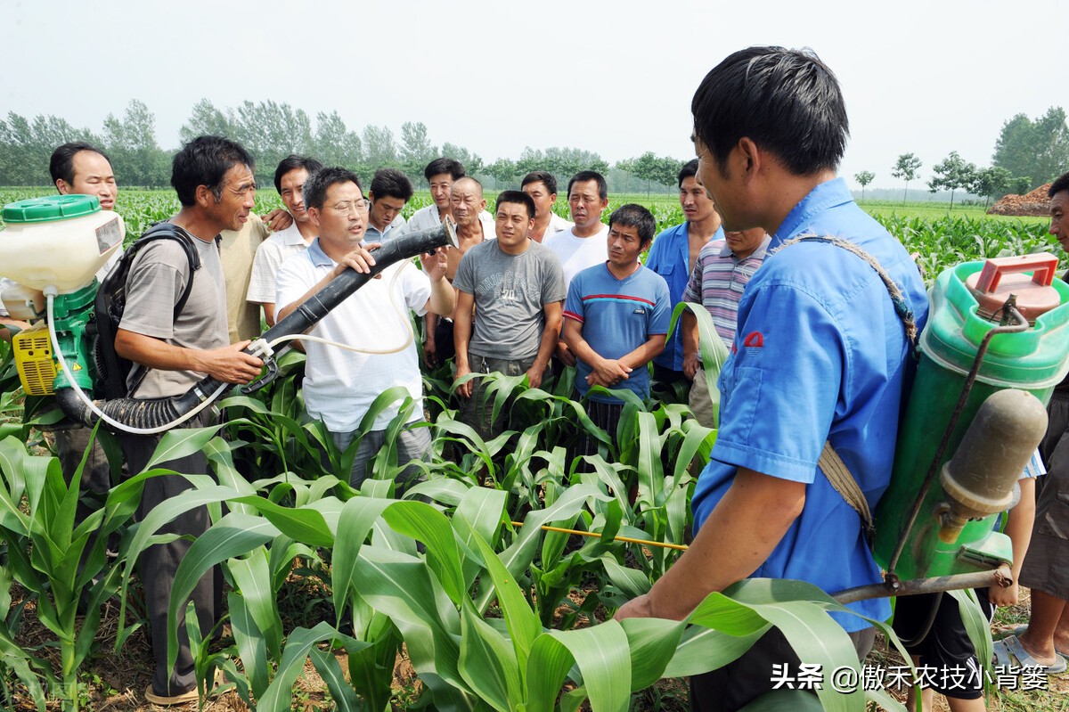 尿素和液体氮肥哪个好,液体氮肥到底是什么