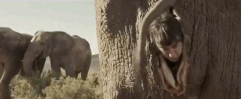 这十五部喜剧电影你看过了吗,推荐几部喜剧片给大家开心一下