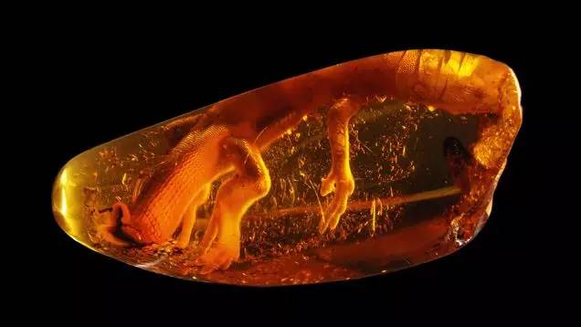 欧洲列国052：琥珀之路——波罗的海的馈赠