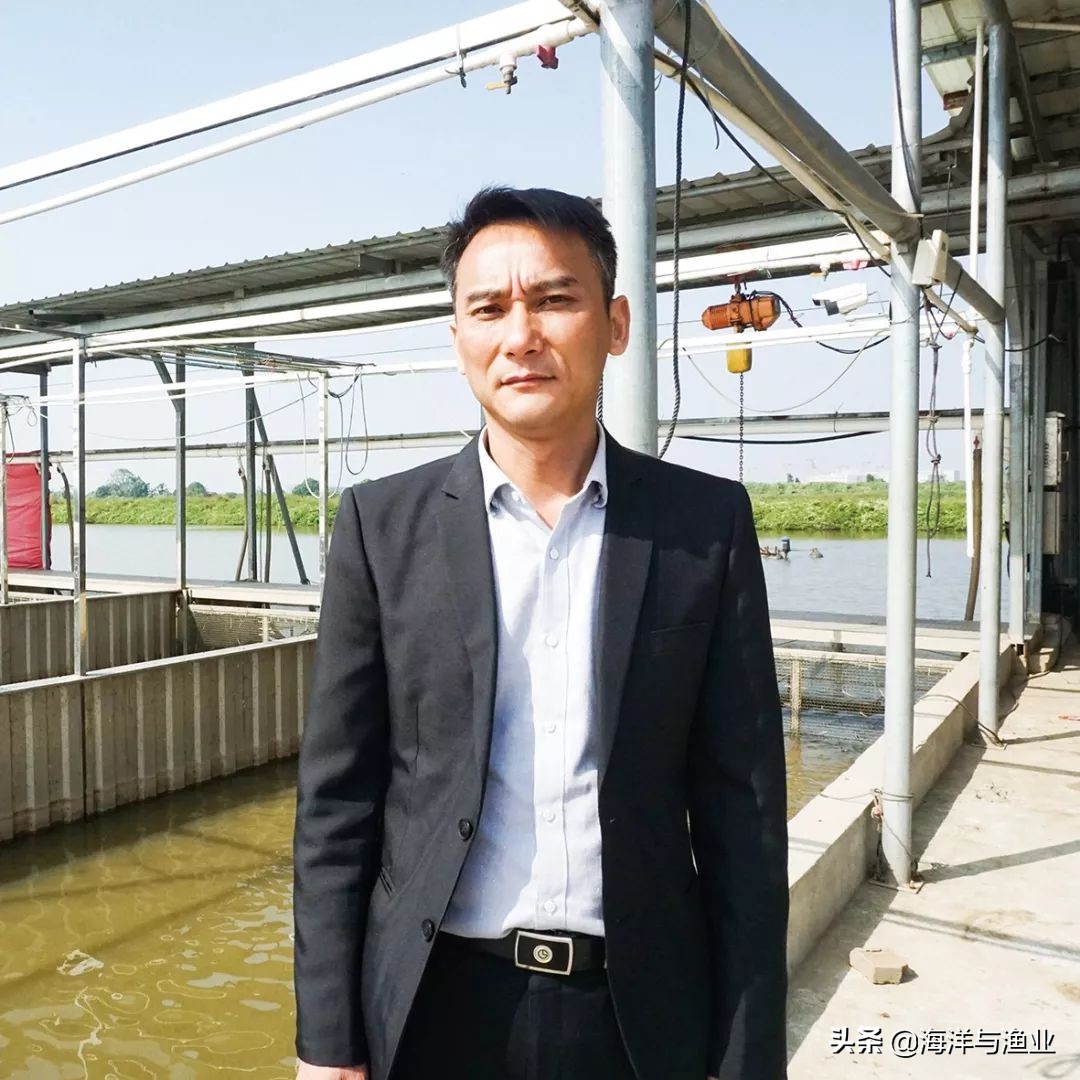 绿色养殖场基地,绿色高密度循环水养殖